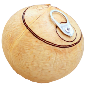 มะพร้าวฝาดึง