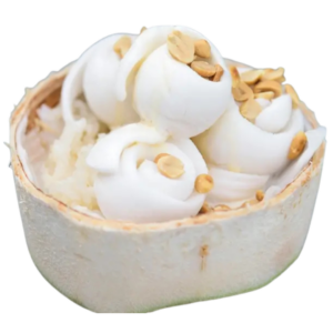 มะพร้าวทำไอศครีม / ลูก