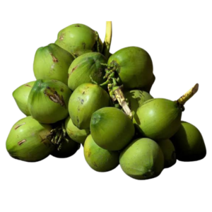 ทะลายมะพร้าว