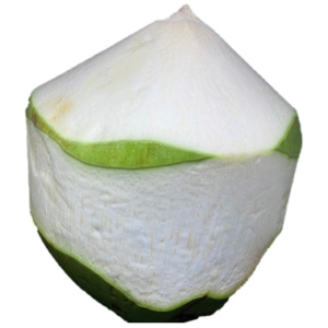 มะพร้าวติดเขียว