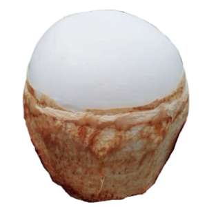 มะพร้าวถอดเสื้อ (ลูกบอล)