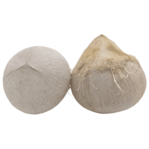 มะพร้าวต้ม/เผา